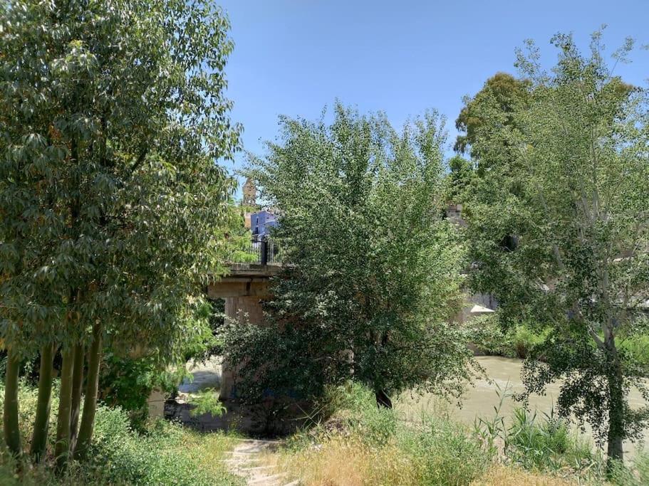 Apartamento Tranquilo Cerca De Zonas Verdes シエサ エクステリア 写真