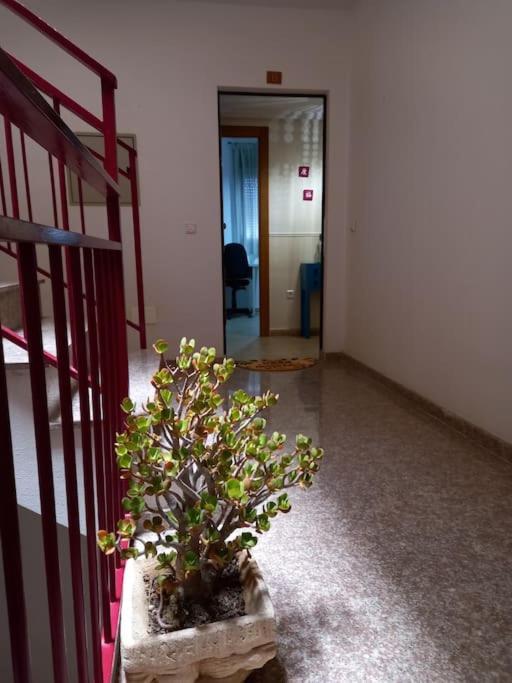 Apartamento Tranquilo Cerca De Zonas Verdes シエサ エクステリア 写真