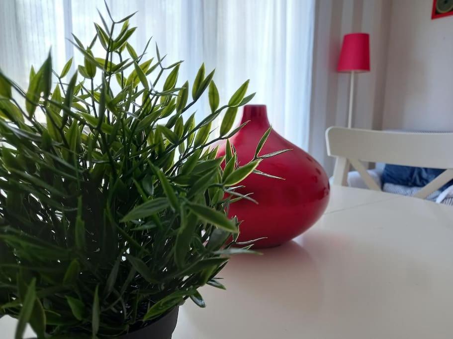 Apartamento Tranquilo Cerca De Zonas Verdes シエサ エクステリア 写真